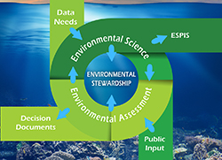 Environmental Stewardship Cycle